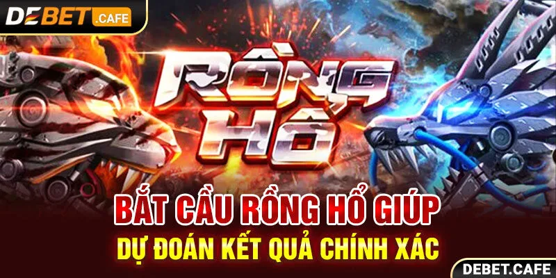 Bắt cầu Rồng Hổ giúp dự đoán kết quả chính xác Bắt cầu Rồng Hổ giúp dự đoán kết quả chính xác